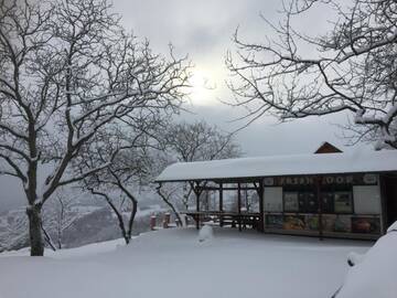 Фотографии Загородные дома Rose Hip Hill Bed&Breakfast г. Valea Tîrnei (Румыния) №3 Фото Загородные дома Rose Hip Hill Bed&Breakfast г. Valea Tîrnei 3